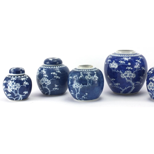 597 - Seven Chinese blue and white porcelain ginger jars, all hand painted with Prunus flowers, each with ... 