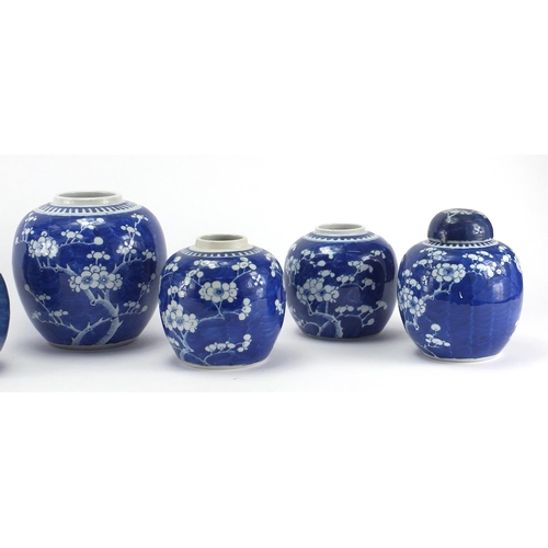 597 - Seven Chinese blue and white porcelain ginger jars, all hand painted with Prunus flowers, each with ... 