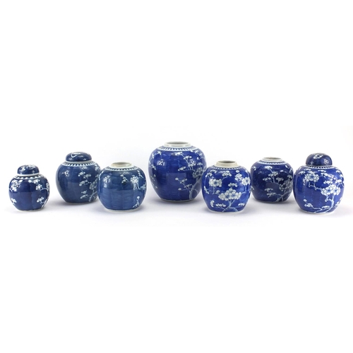 597 - Seven Chinese blue and white porcelain ginger jars, all hand painted with Prunus flowers, each with ... 