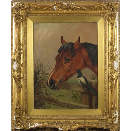 1484 - Colin Graeme - Portrait of a horse and bird, 19th century oil on canvas, mounted and framed, 40cm x ... 