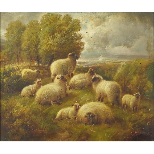 1463 - Charles J Watson - Grazing sheep, oil on canvas, inscribed verso, framed, 29cm x 24cm