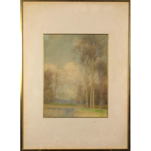1565 - Tall trees beside a lake, 19th century pencil and watercolour, mounted and framed, 31cm x 24cm