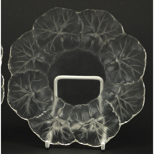 917 - Pair of Lalique frost and clear glass flower head dishes, each etched Lalique France to the bases, e... 