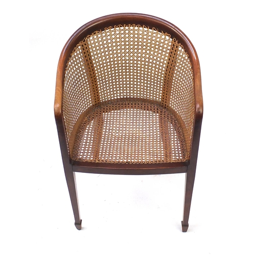43 - Mahogany framed bergere tub chair, raised on tapering legs