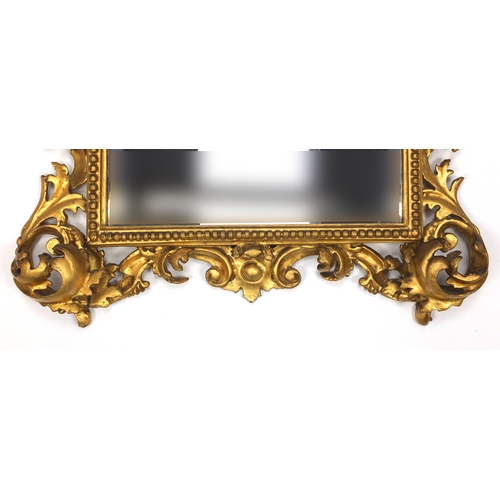 2003A - 19th century Florentine carved acanthus giltwood mirror with bevelled plate, 70cm x 45cm