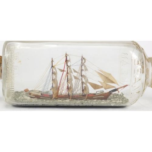 204 - Two model ships in bottles