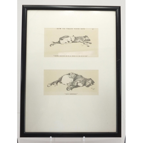 562 - Four Cecil Aldin prints of dogs, each mounted and framed, the largest 14.5cm x 12.5cm