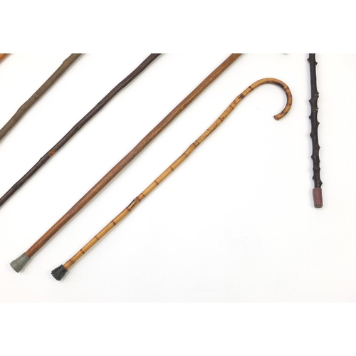 616 - Wooden walking sticks, some with animal head handles and horn handles