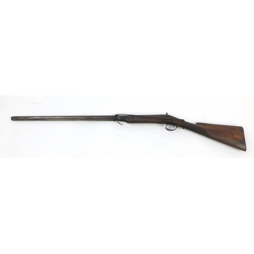 915 - Antique percussion musket, 122cm in length