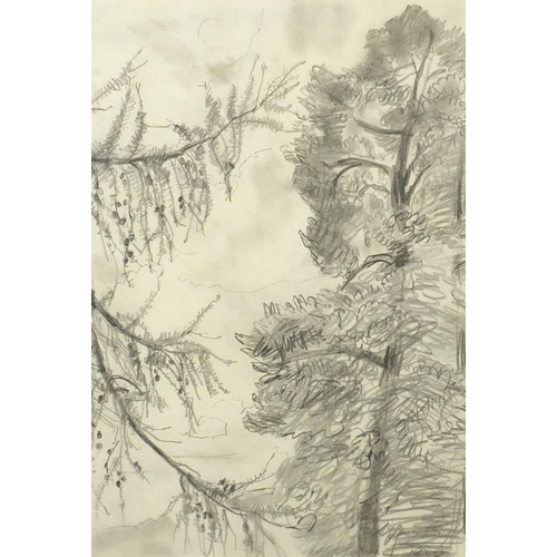 2053 - Dame Laura Knight RA 1968 - Larch Branches, pencil sketch, label and inscribed from Abbott & Holder ... 