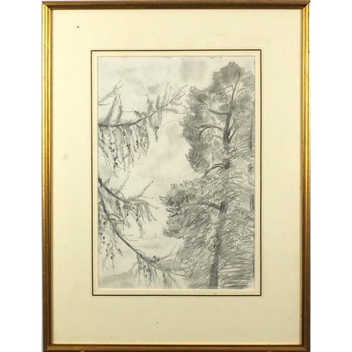 2053 - Dame Laura Knight RA 1968 - Larch Branches, pencil sketch, label and inscribed from Abbott & Holder ... 