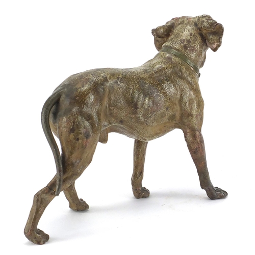 2062 - Large 19th century cold painted dog, 35cm in length