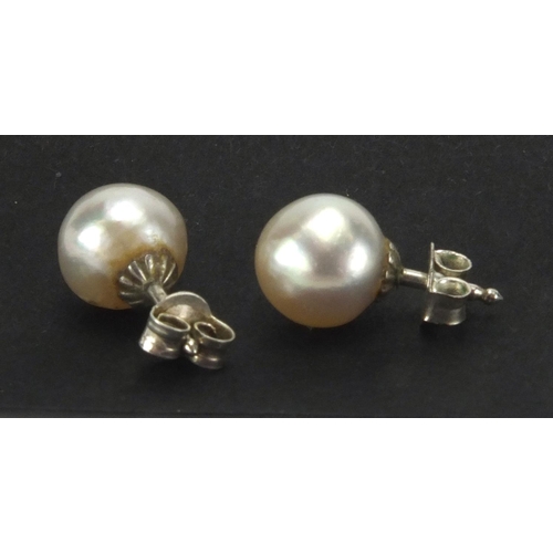 290 - Pair of unmarked white metal pearl earrings, approximate weight 2.0g