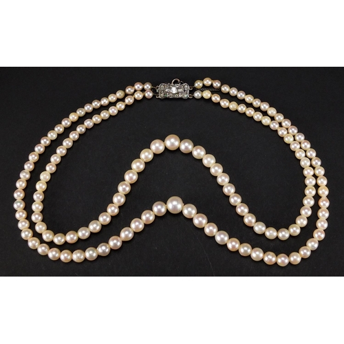 355 - Two string cultured pearl necklace, with unmarked silver clasp, housed in a S. L. Simmons tooled lea... 