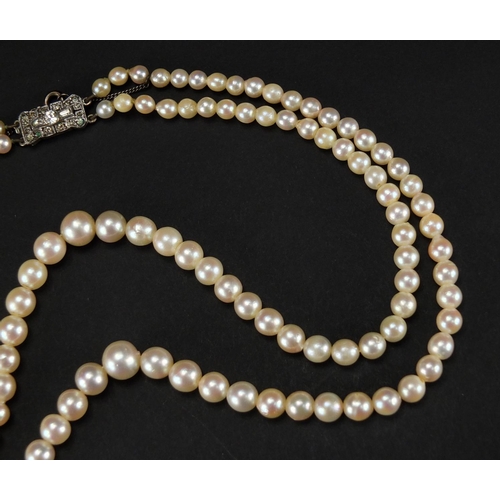 355 - Two string cultured pearl necklace, with unmarked silver clasp, housed in a S. L. Simmons tooled lea... 