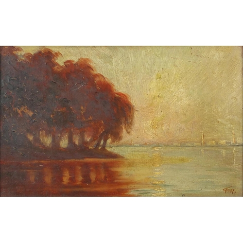 567 - G Thorn - Rhoda Island, Cairo and river view of a city, pair of early 20th century oil on boards, bo... 