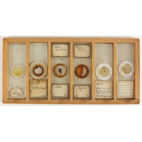 54 - Two early 20th century pine cases of students microscopic specimen glass slides including human foet... 