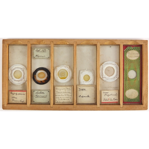 54 - Two early 20th century pine cases of students microscopic specimen glass slides including human foet... 
