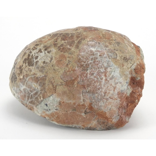 111 - Fossilised dinosaur egg, 15.5cm wide