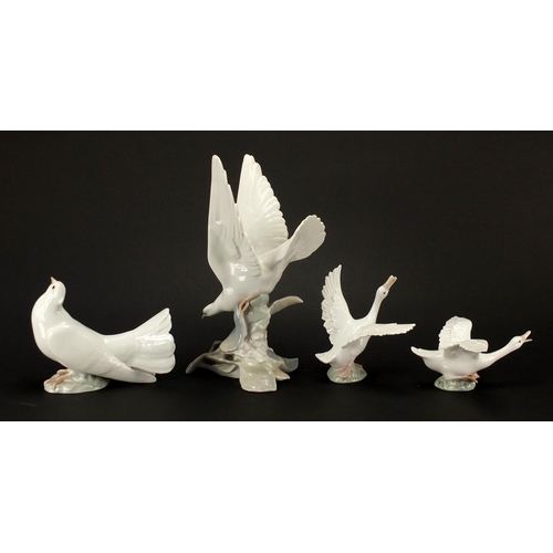 2442 - Four Lladro birds including a dove, the largest 28cm high