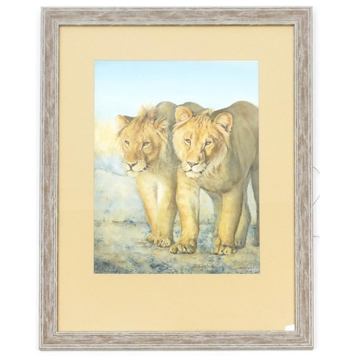 54 - Mary Cooper - Two lions, watercolour, mounted and framed, 55cm x 41cm