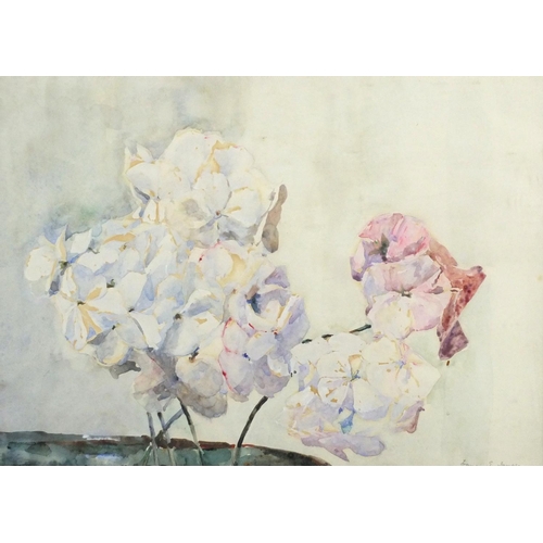 1339 - Francis E James - Still life Hydrangea, watercolour, inscribed and label verso, mounted and framed, ... 