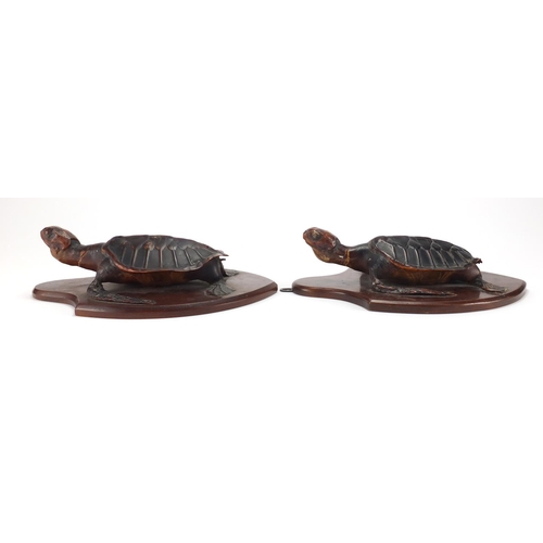 96 - Pair of taxidermy sea turtles on mahogany shield backs, each 29cm high