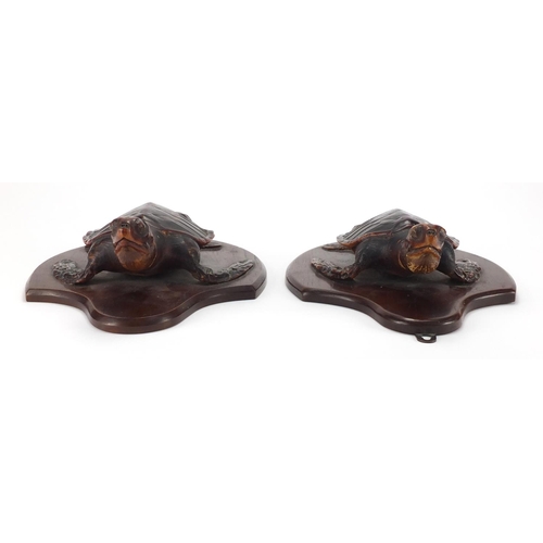 96 - Pair of taxidermy sea turtles on mahogany shield backs, each 29cm high