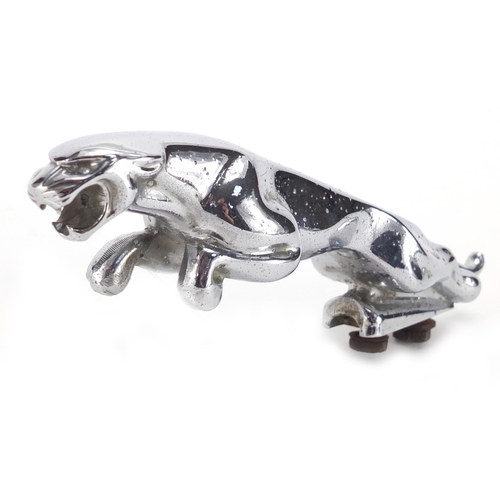 138 - Vintage chrome Jaguar car mascot, numbered 710091WB5, 19cm in length