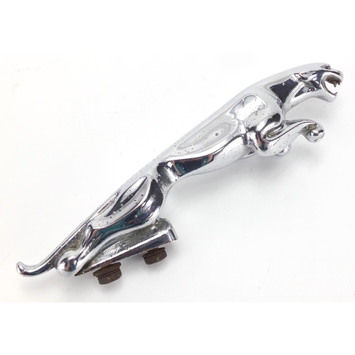 138 - Vintage chrome Jaguar car mascot, numbered 710091WB5, 19cm in length