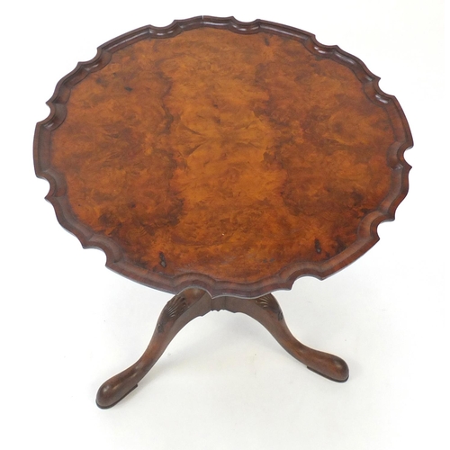 2038 - Snap top occasional table, with quarter veneered top and shell carved knees, 62.5cm high x 60.5cm in... 