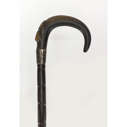 107 - Horn handed bamboo walking stick with silver collar, possibly rhino horn, 87cm in length