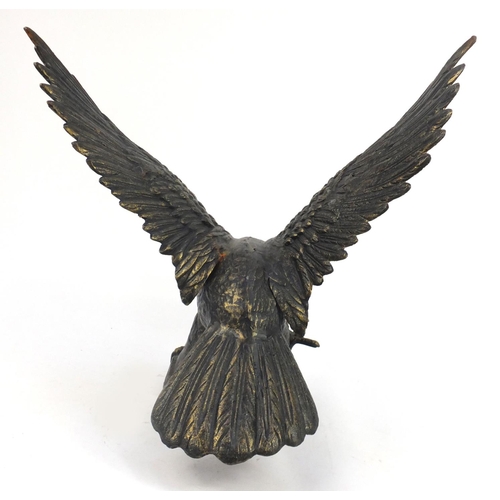 2123 - Large bronzed metal model of a swooping eagle, 63cm high