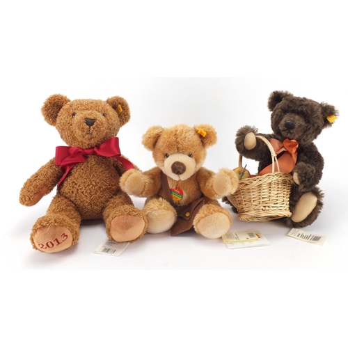 669 - Three Steiff teddy bears, 2013 Braun Cosy Year, Autumn and Goldy