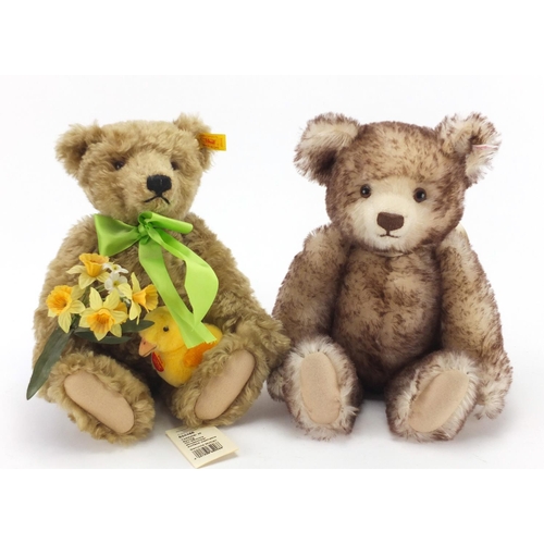 670 - Two Steiff teddy bears with jointed limbs, Bear of the Year 2005 and Dylan