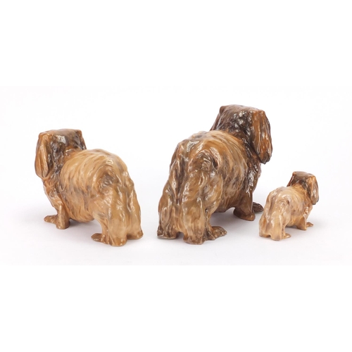 2425 - Three graduated Royal Doulton Pekinese dogs HN1010, HN1011 and HN1012, two with Ch Biddee Of Ifield ... 