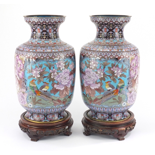 2171 - Large pair of Chinese cloisonné vases on hardwood stands, each enamelled with birds of Paradise and ... 