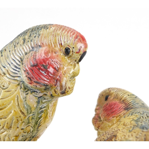 2463 - Cold painted bronze study of two budgies, 24.5cm high