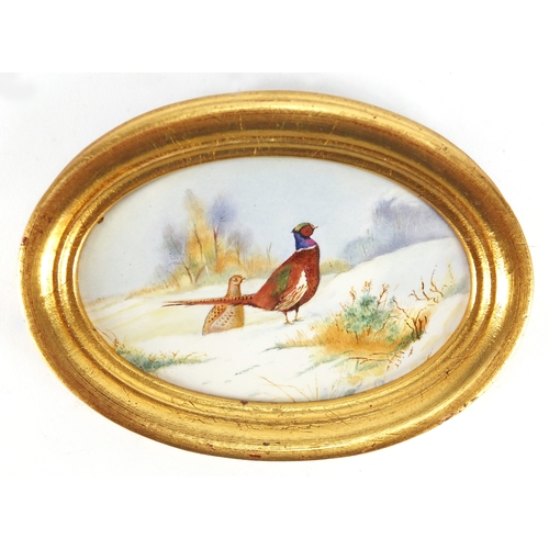 2470 - Oval porcelain plaque hand painted with two pheasants by E R Booth, probably Worcester, framed, the ... 