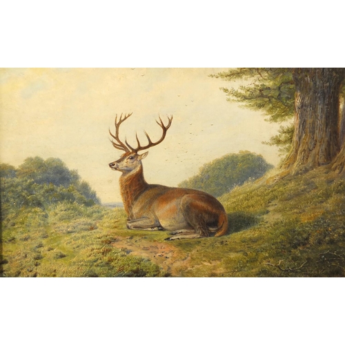 1322 - Attributed to Friedrich Wilhelm Keyl - Portrait of a stag in a landscape, 19th century oil on canvas... 