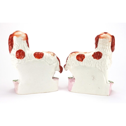 827 - Pair of Victorian Staffordshire pottery spaniels standing on arched bases with leaves, each 25.5cm h... 