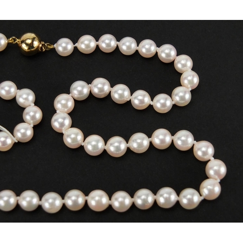 2464 - Single string pearl necklace, with 9ct gold clasp and price tag of £380, 40cm in length, approximate... 