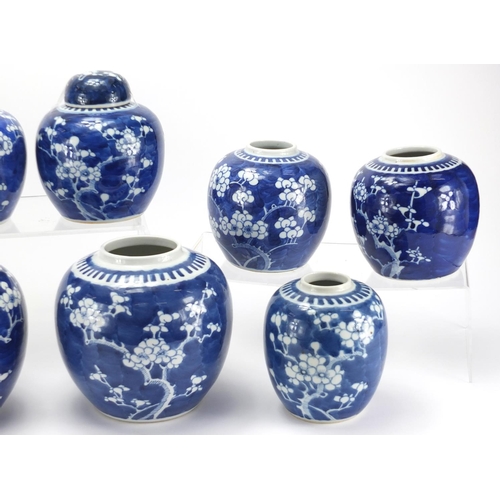 541 - Ten Chinese blue and white porcelain ginger jars, three with covers, each hand painted with Prunus f... 