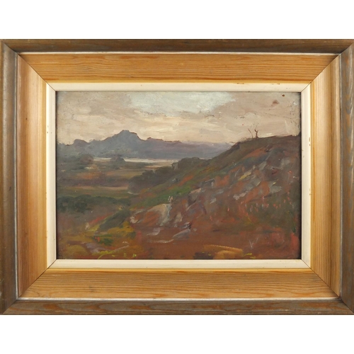 1289 - James Kay - Scottish landscape with distant Loch, oil on wood panel, label printed from The Collecti... 