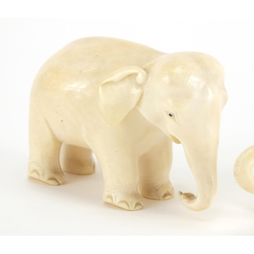 716 - Two carved ivory elephants including a Japanese example with character marks to the base of one foot... 