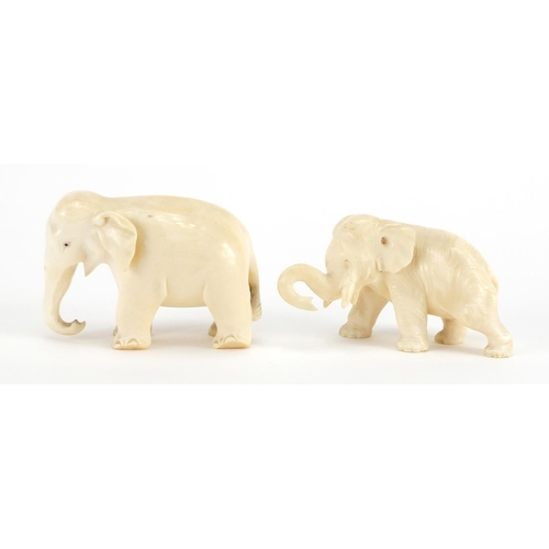 716 - Two carved ivory elephants including a Japanese example with character marks to the base of one foot... 