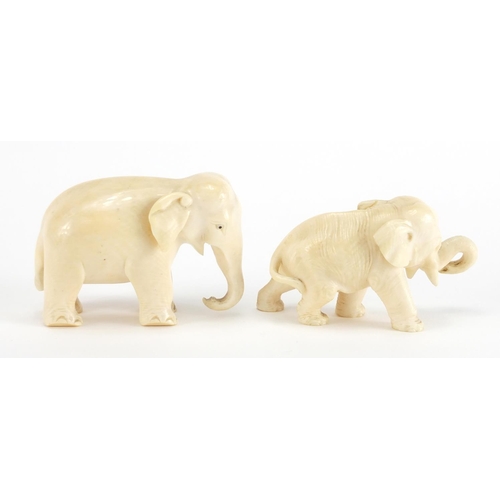 716 - Two carved ivory elephants including a Japanese example with character marks to the base of one foot... 