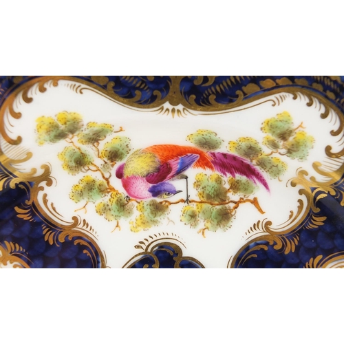 808 - Royal Worcester porcelain shallow dish, hand painted with panels of birds and insects within gilt bo... 