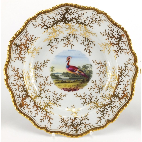 789 - Two Worcester Flight Barr and Barr shallow dishes and a plate, each hand painted with a bird of para... 