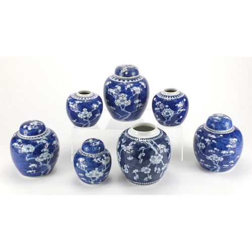 548 - Seven Chinese blue and white porcelain ginger jars four with covers, each hand painted with Prunus f... 